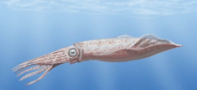 Potapljači so odkrili nekaj čudnega.