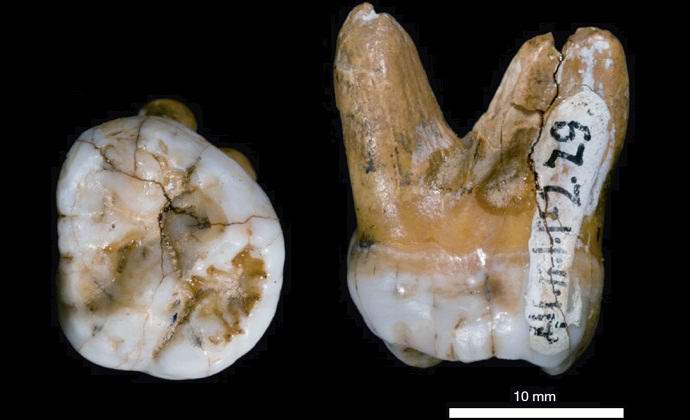 Denisovski moški se je izkazal za povsem nov videz