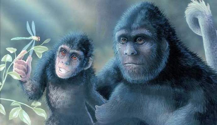 Otrok z veliko nogo se je znašel na videu