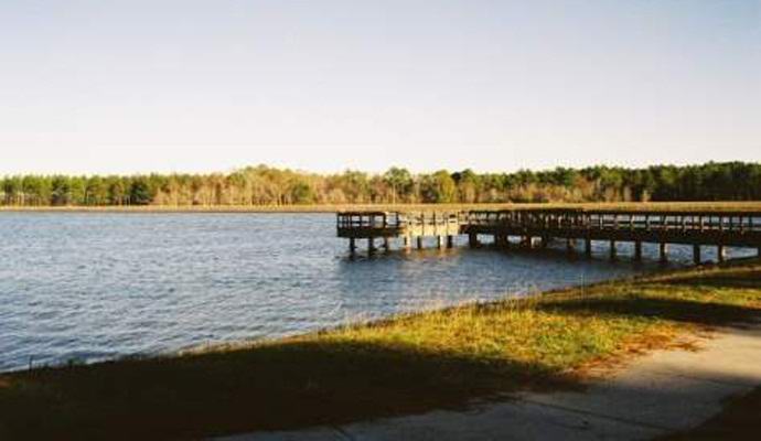 Deklica je fotografirala duha črnca