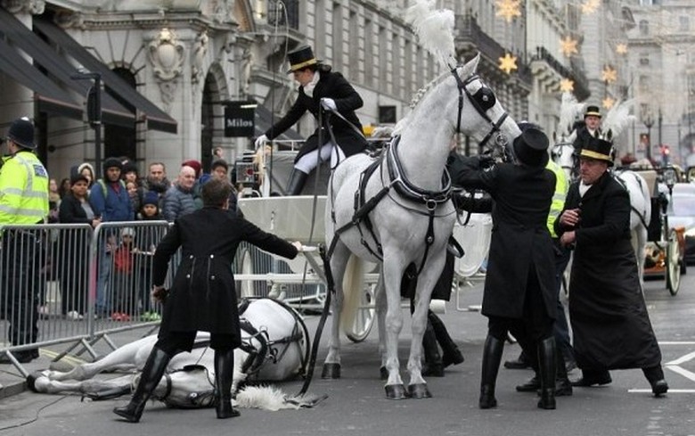 Za Veliko Britanijo padec belega konja ne pomeni dobrega.