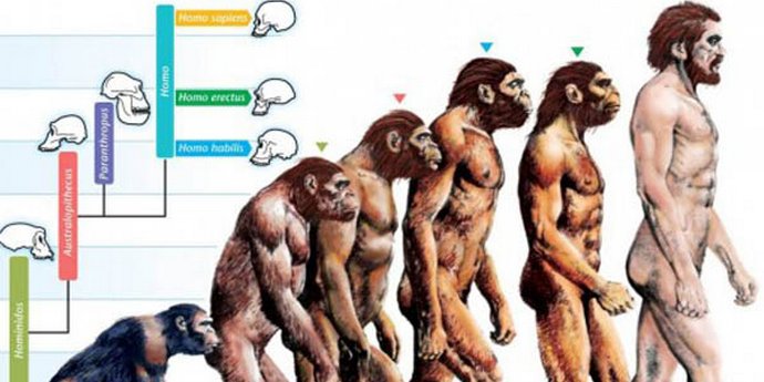 Prazgodovinski človek v modnih sandalih