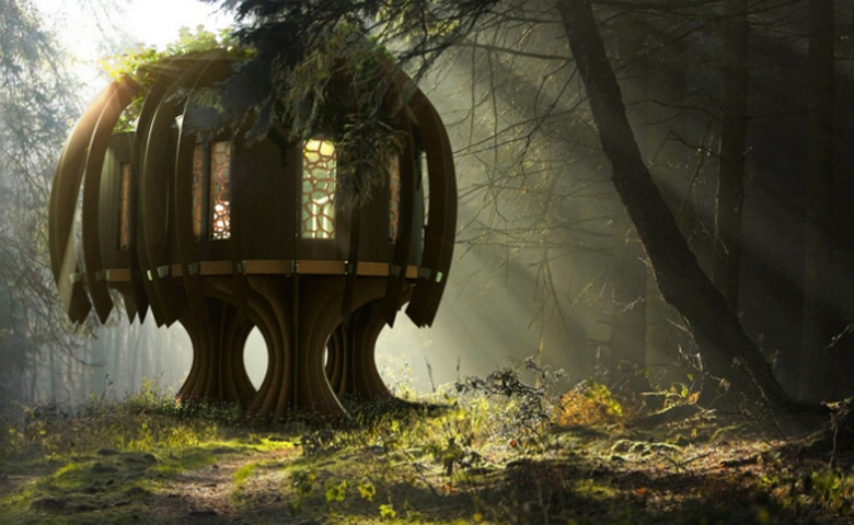 Domovi, s katerimi se dogajajo čudne stvari