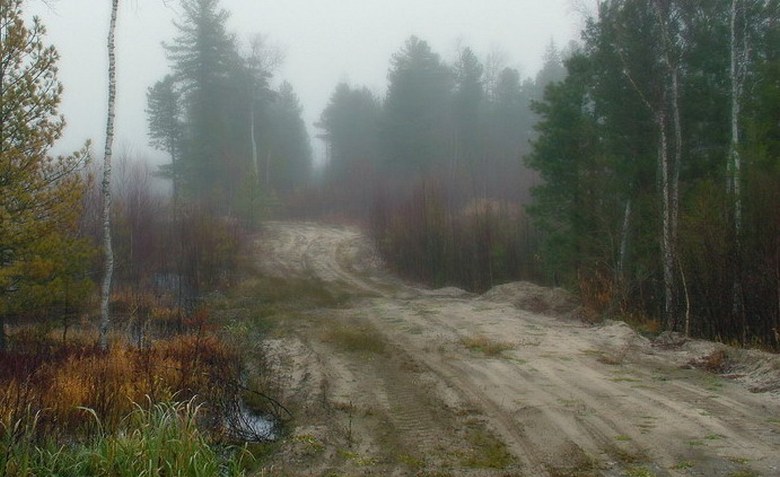 Cesta je nevarna samo ponoči