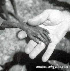 Zanesljivi stiki s tujci