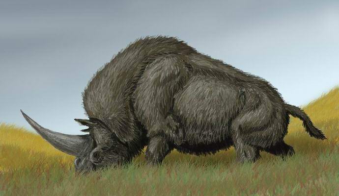 So stari predniki Kazahstanov živeli v času samorogov?