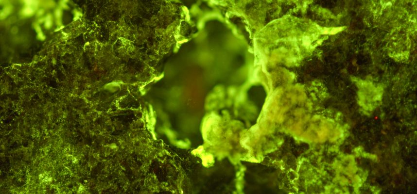 Eksperiment ISS kaže, kako lahko s 400-odstotno učinkovitostjo kopate fosile v vesolju 