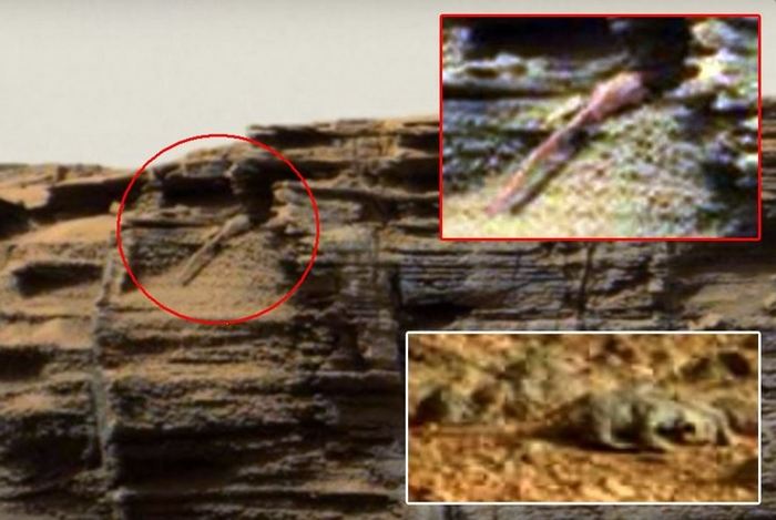 Še en kuščar, viden na Marsu