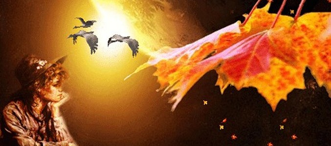 Če bi mladost vedela ...