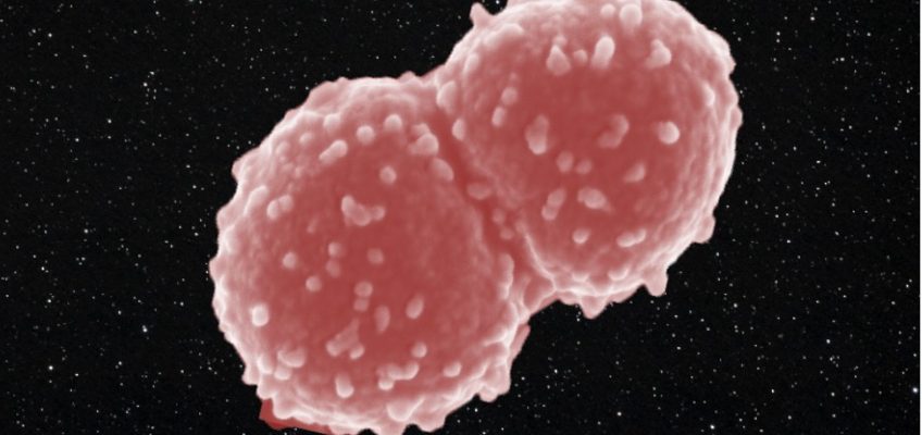 Ta bakterija je eno leto živela zunaj vesoljske postaje. 