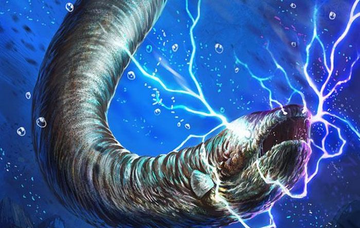 Te neverjetne jegulje.