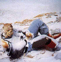 Everest je dobesedno posut s trupli umrlih plezalcev.