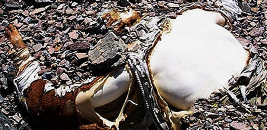 everestcemeterija05-620x301