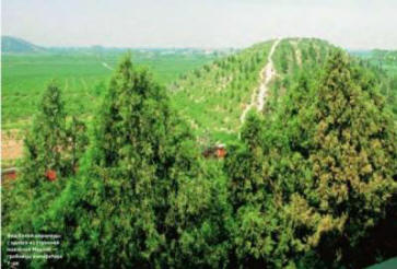 Lažne in pristne uganke Kitajske