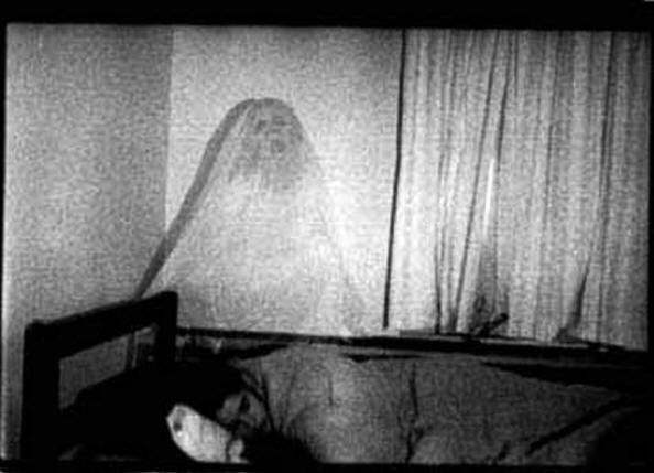 Fantom - hranilec informacij