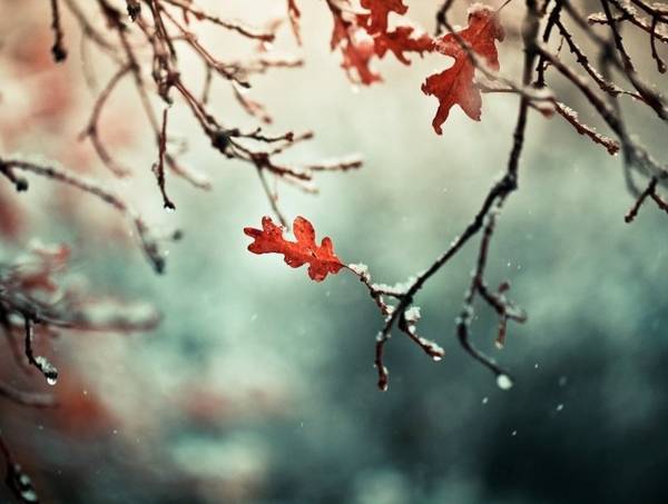 ljudska znamenja 11. novembra 