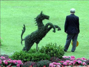 Napoved Feng Shuija za zeleni konj za leto 2014