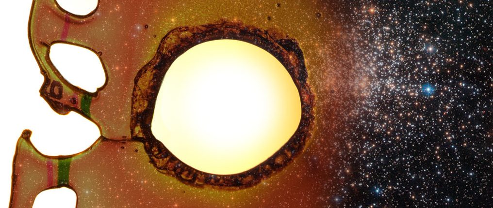 Fiziki preučujejo skrivnostne 