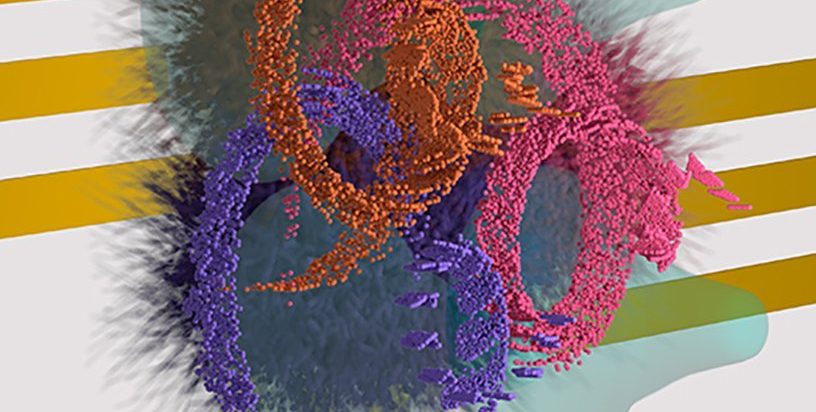 Fiziki odkrivajo znake izmuzljive oblike magnetizma, napovedane pred 50 leti 