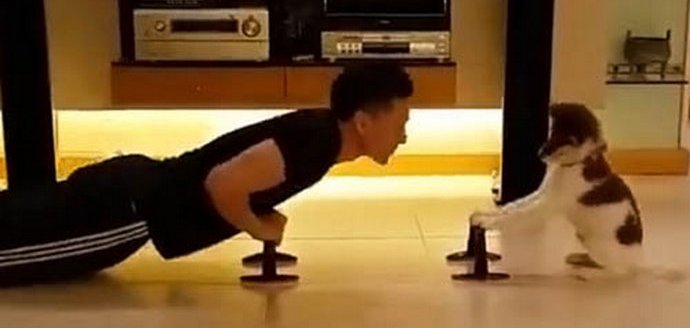 Fizična vzgoja za par z mladičkom