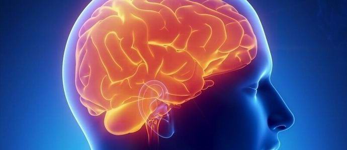 Francoz živi pol stoletja skoraj brez možganov.