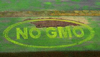 Genske mutacije rastlin ubijajo ljudi.