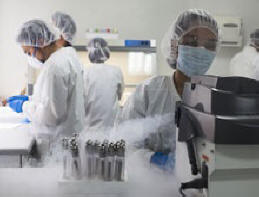 Genetika je ugotovila, ko se mešajo ljudje, ki naseljujejo Zemljo.