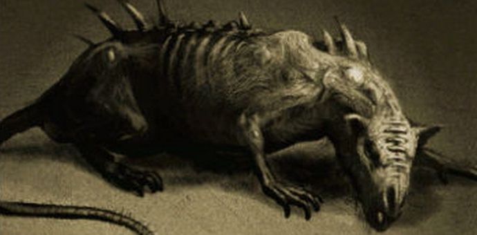 Velike, pametne in neustrašne podgane