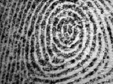 Google in CIA sponzorji napovedovalcev