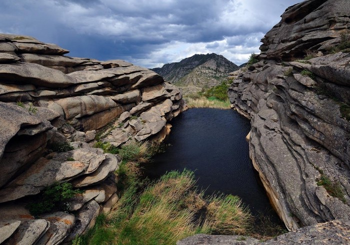 Gore so halucinogeni