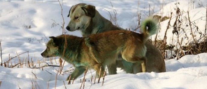 Grom ne bo udaril ...