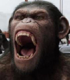 Ali prihaja opičji upor?