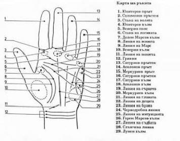 Palmistry in znanost dednosti