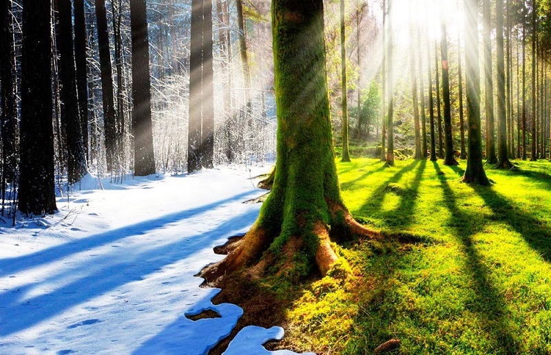 Hladna sezona v Rusiji upada, napovedovali so napovedovalci