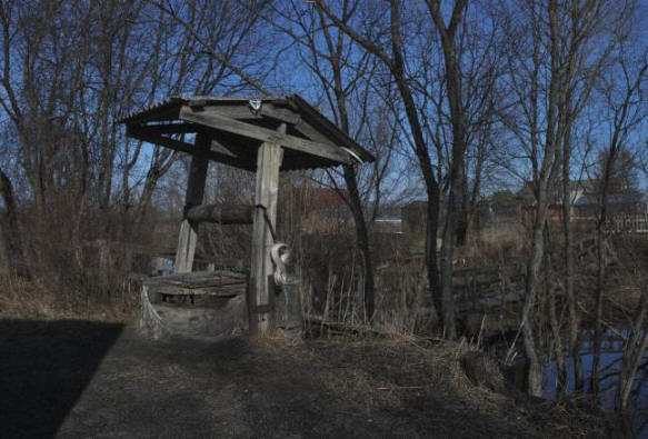 Gospodarica vodnjaka