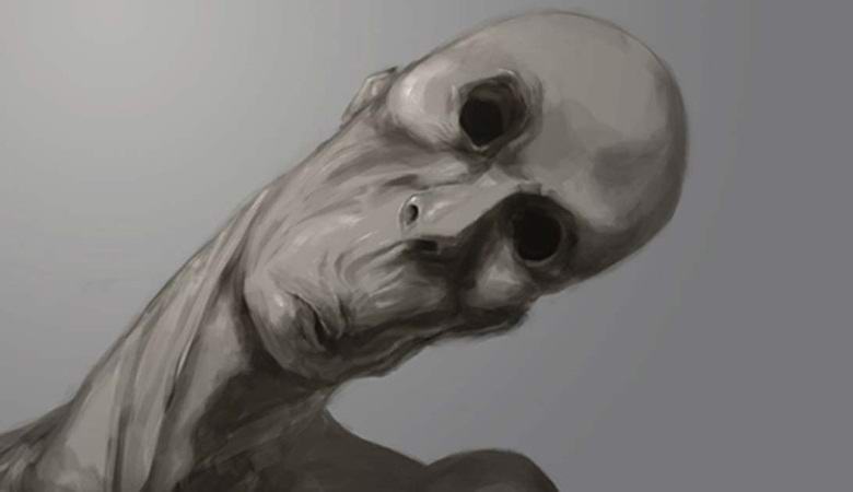 Tanko humanoidno bitje, ujeto v nočnem gozdu Oregona