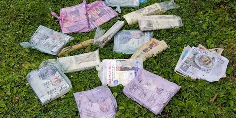 Včasih živali ne samo presenetijo, ampak dobesedno presenetijo