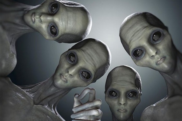 Tudi tujci so radovedni.