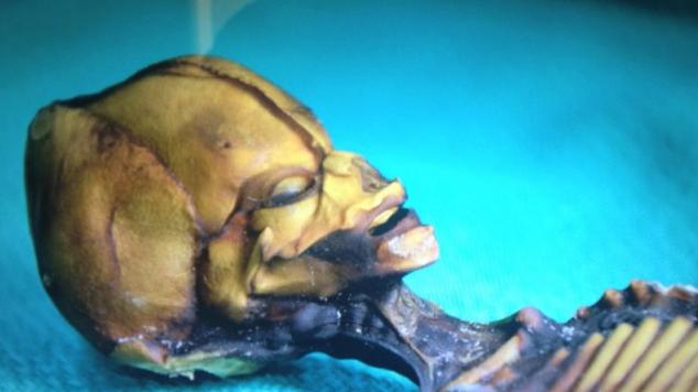 Tujec iz puščave Atacama