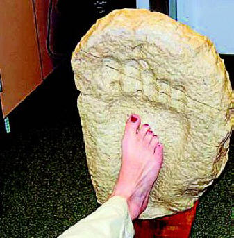 Okameren odtis velikanskega odtisa z obale reke Palexi (Teksas, ZDA)