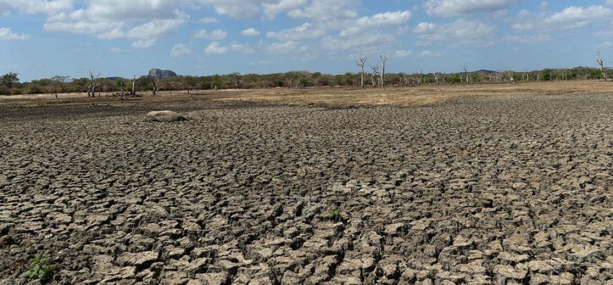 Raziskave kažejo, da bi lahko deli Severne Amerike postali puščava 