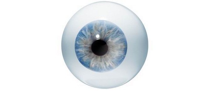 Italijani so sintetizirali umetno človeško oko
