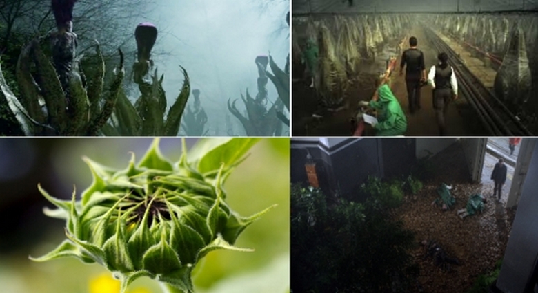 Iz laboratorijev genetikov v ZDA