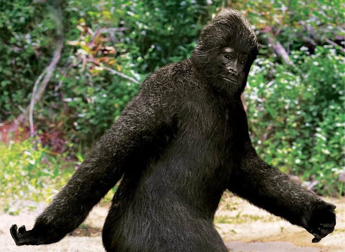 Evens že snema pse?