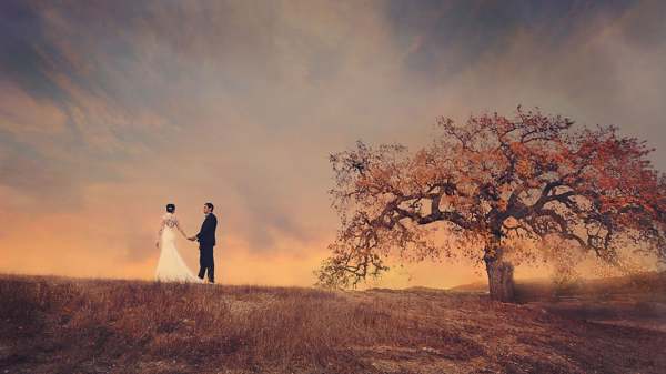 sanjska knjiga, da se vidite v poročni obleki za poročeno žensko 