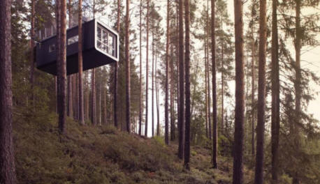 Kako drevesa skrbijo za nas