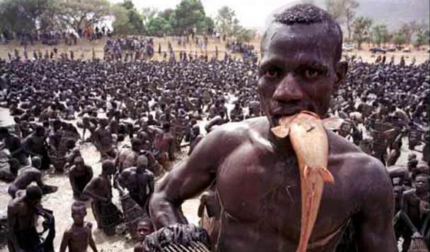 Kako enostavno je mir in harmonija.