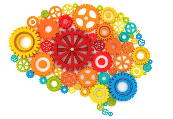 Kako možgani zaznavajo barve