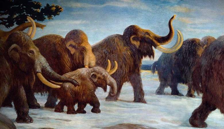 Kako se rojevajo ponaredki ali uganka posnetkov v Sibiriji