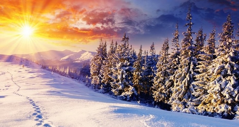 Kakšna bo zima 2015-2016 v Rusiji. Vremenska napoved